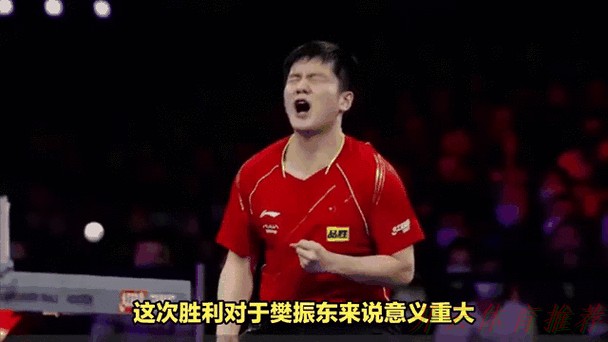 开云体育动态：快速切换模式 樊振东完成个人赛到团体赛调整